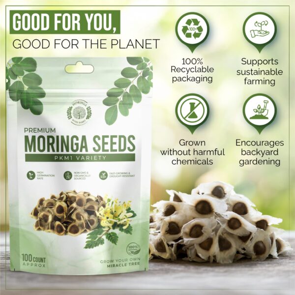 Moringa Seeds - Image 3