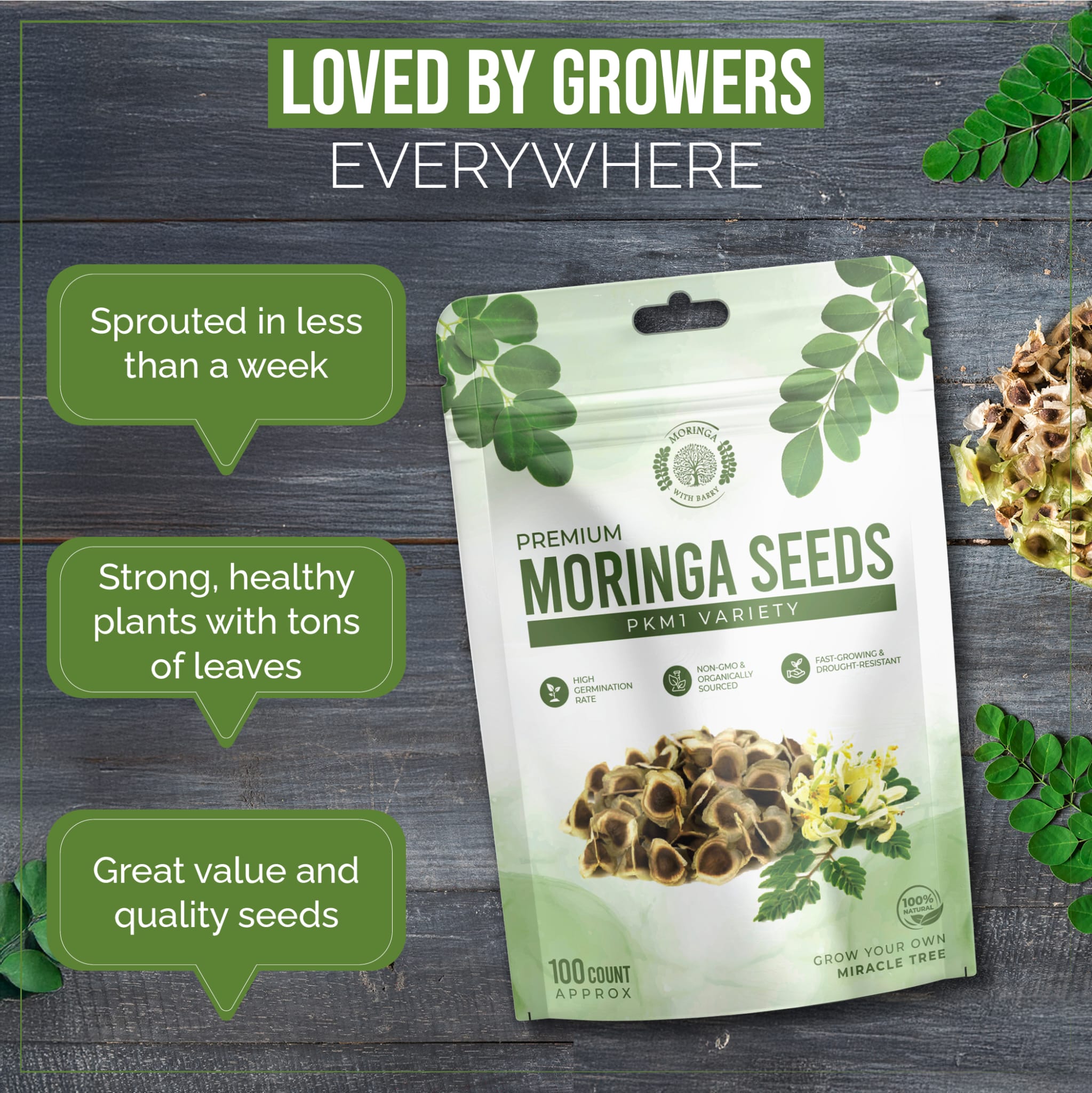 moringa-seeds moringa products usa