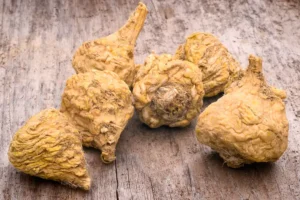 Maca Plant