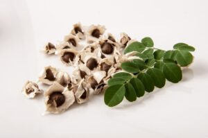 Moringa Seeds
