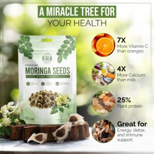 Benefits of Moringa Seeds