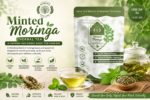 Minted Moringa Herbal Tea